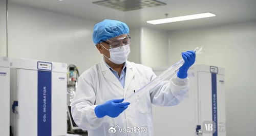 國(guó)產(chǎn)生物型人工血管獲創(chuàng)新通道認(rèn)可，心血管治療迎來新突破